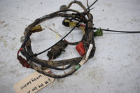 1999 Honda TRX 300 Fourtrax Wiring Harness
