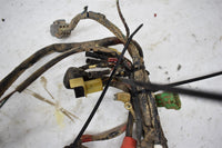 1999 Honda TRX 300 Fourtrax Wiring Harness