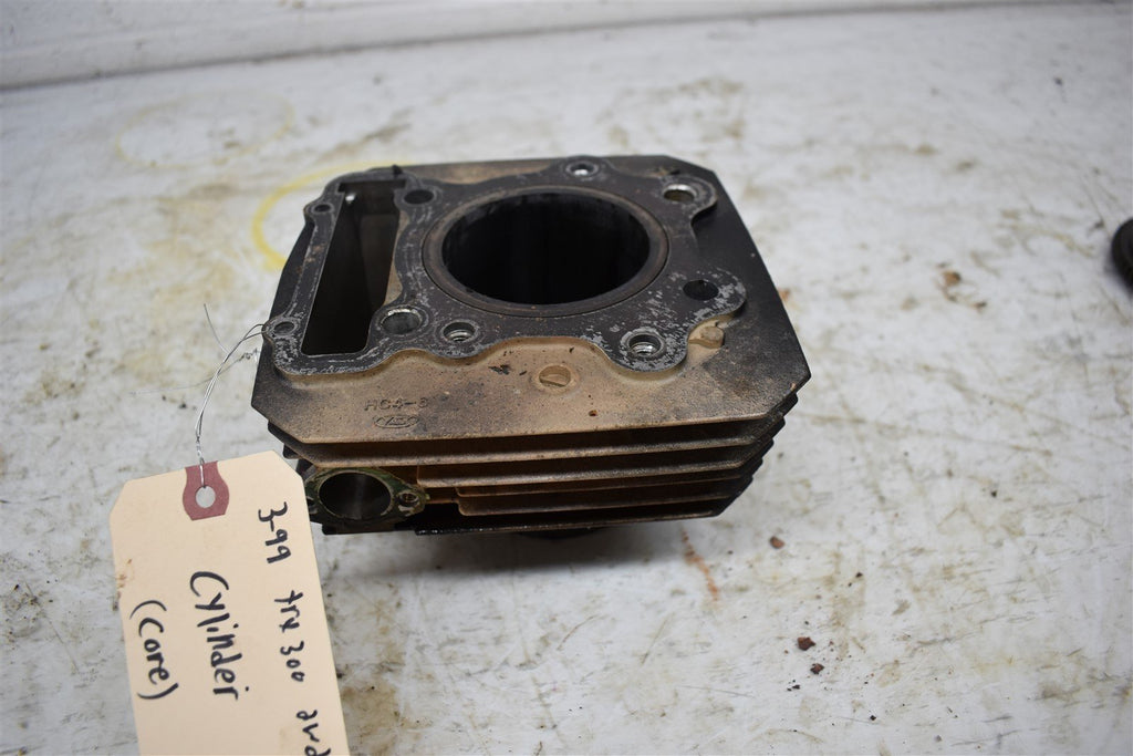 1999 Honda TRX 300 Fourtrax Cylinder 12100-HC4-000