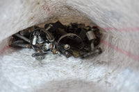 2003 KTM 65 SX Hardware / Bolts Lot