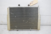 2010 Polaris RZR Razor 800 Radiator 1240444