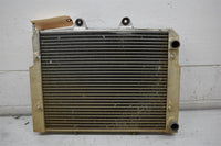 2010 Polaris RZR Razor 800 Radiator 1240444