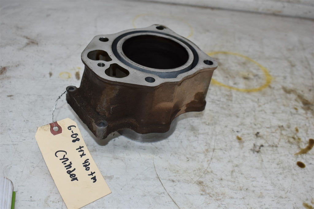 2008 Honda TRX 420 TM Cylinder CORE 12100-HP5-600