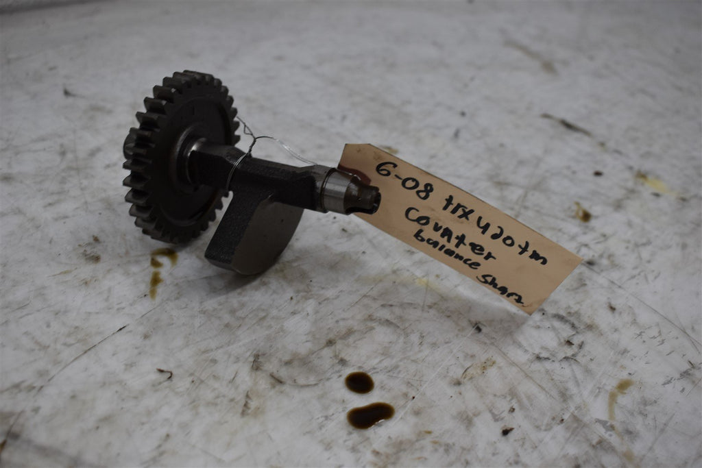 2008 Honda TRX 420 TM Counter Balancer 13420-HP5-600