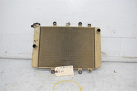 2008 Yamaha Grizzly 700 Radiator 3B4-1240A-10-00