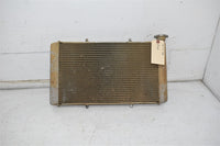 2014 Yamaha Viking 700  Radiator 1XD-E2461-00-00