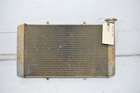 2014 Yamaha Viking 700  Radiator 1XD-E2461-00-00