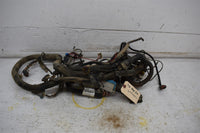 2010 Polaris Ranger 800  Wiring Harness 2411394