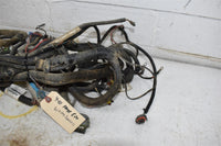 2010 Polaris Ranger 800  Wiring Harness 2411394