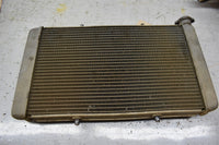 2016 Yamaha Wolverine R-Spec 700 Radiator 1XD-E2461-00-00