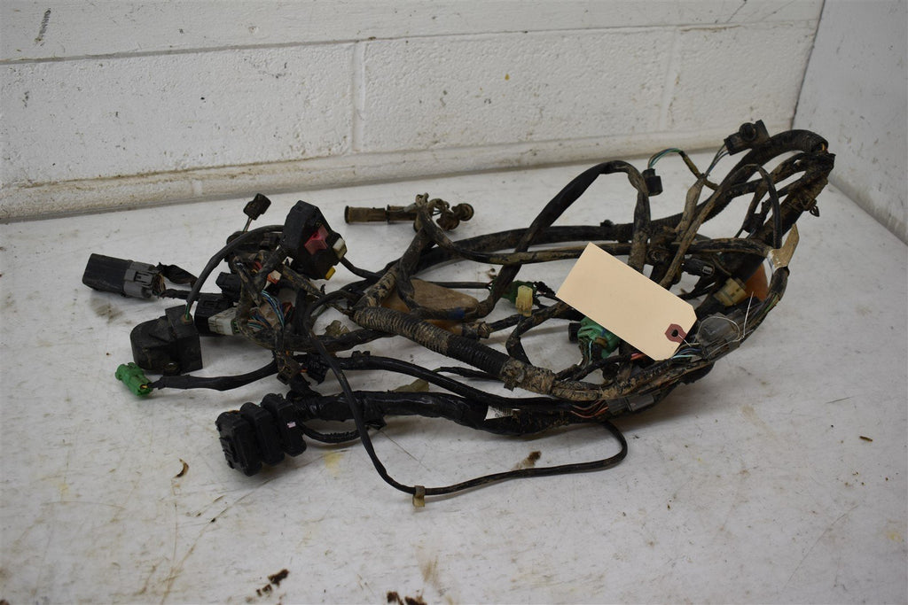 2008 Honda TRX 420 FM Wiring Harness 32100-HP5-A00