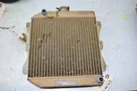 2014 Honda TRX 420FM Radiator 19010-HR3-A21