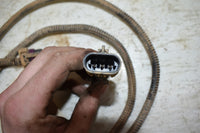 2011 Polaris Ranger 800 Tail Light Harness 2411387