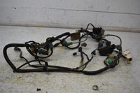 2007 Honda TRX 420 FM Wiring Harness 32100-HP5-010