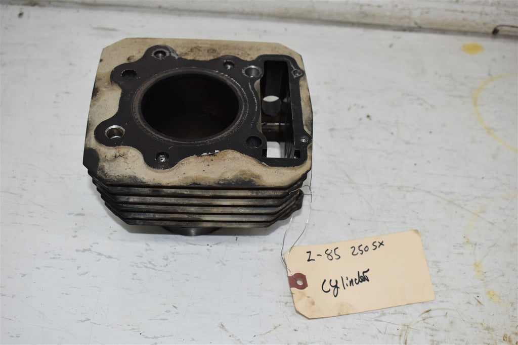 1985 Honda ATC 250 SX Cylinder 12100-HA6-000