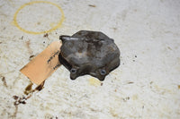 2000 Honda Foreman 450 ES Valve Cover 12311-HN0-670