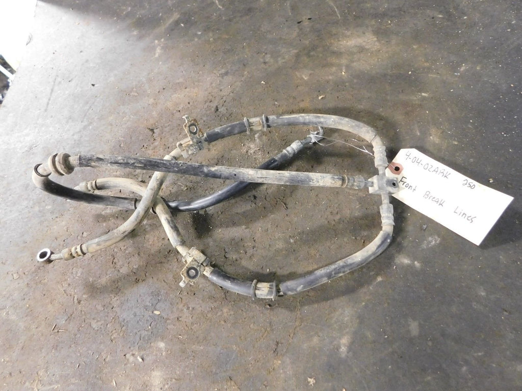 2004 Suzuki Ozark 250 Front Brake Lines