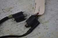 2016 Honda Pioneer 1000-5 Deluxe Coils 30510-HL4-A01 30520-HL4-A01