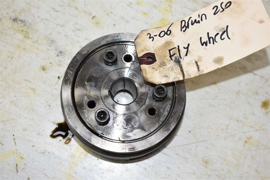 2006 Yamaha Bruin 250 Flywheel 1P0-H1450-00-00