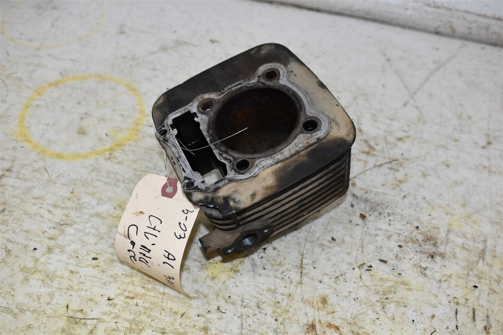 2003 Arctic Cat 300 2x4 Cylinder - CORE 3402-251