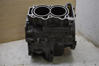 Polaris Sportsman 1000 Engine Crank Case