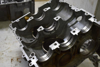 Polaris Sportsman 1000 Engine Crank Case