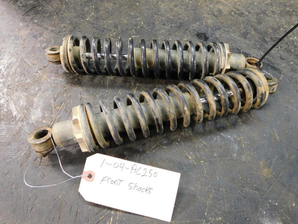 2004 Arctic Cat 2x4 250 Front Shocks