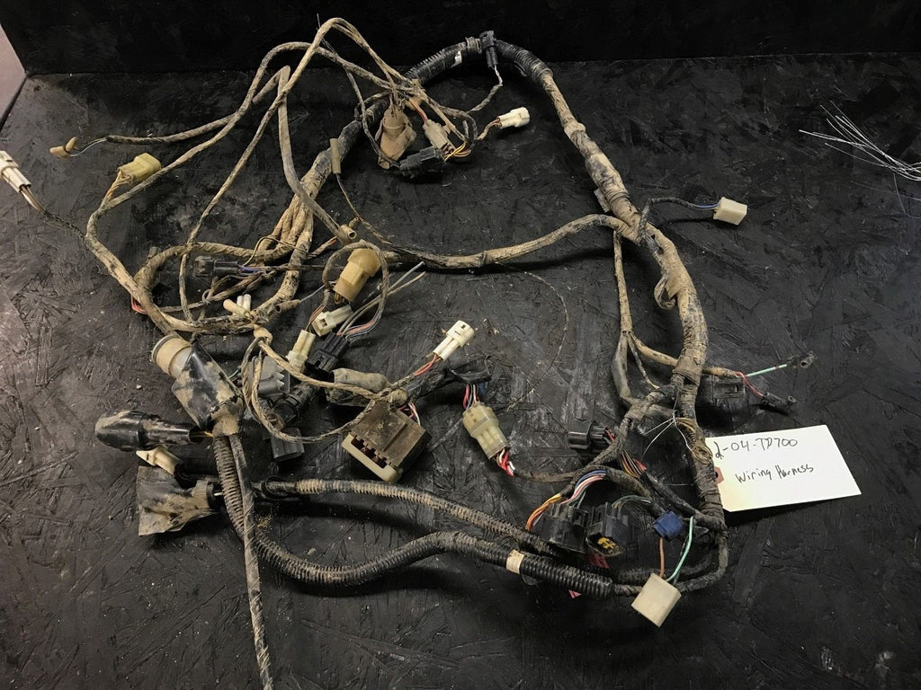 2004 Suzuki Twin Peaks 700 Wiring Harness